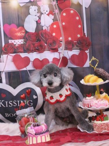 20250226タルトくん